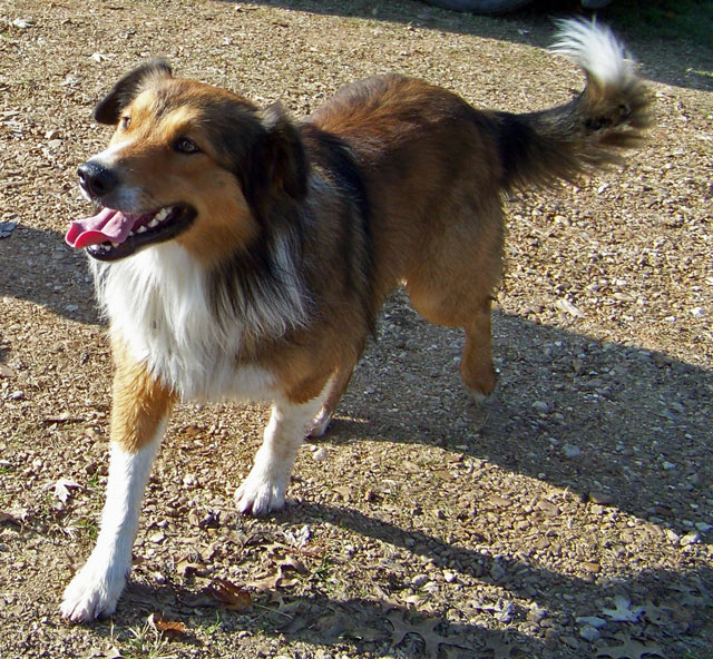 /i/Copper x Maggie/ButcherBeautifulAbe1109.jpg